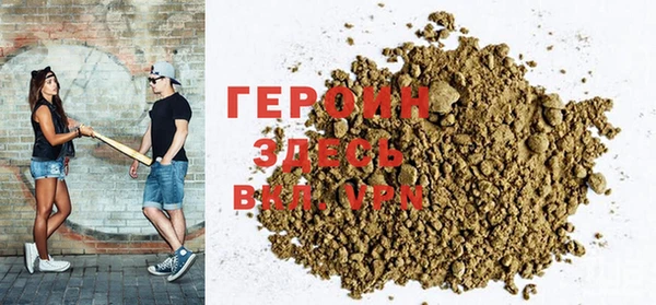 гашик Алексин
