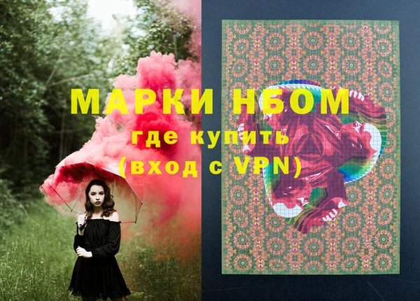 гашик Алексин