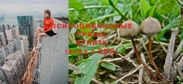 мдпв Абдулино