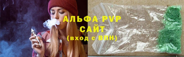 гашик Алексин