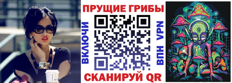 blacksprut ссылка  Соликамск  Псилоцибиновые грибы Psilocybe 